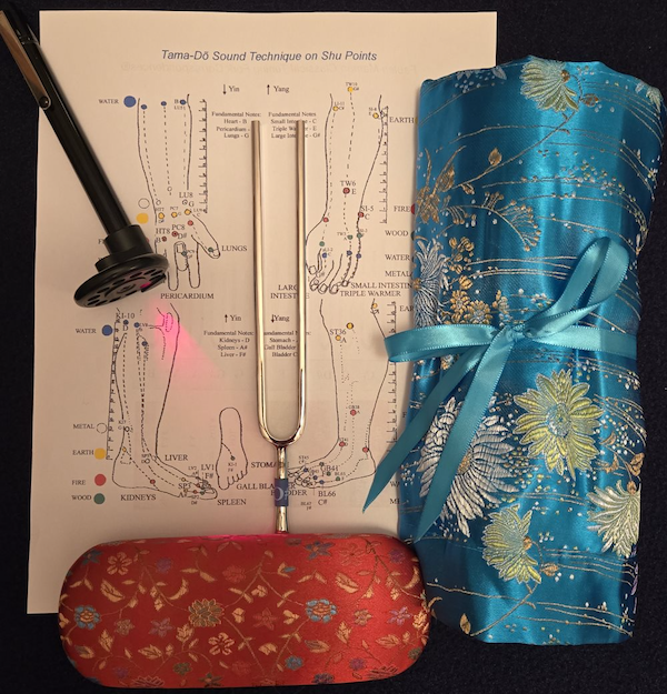 Shu Points® COURSE Package
