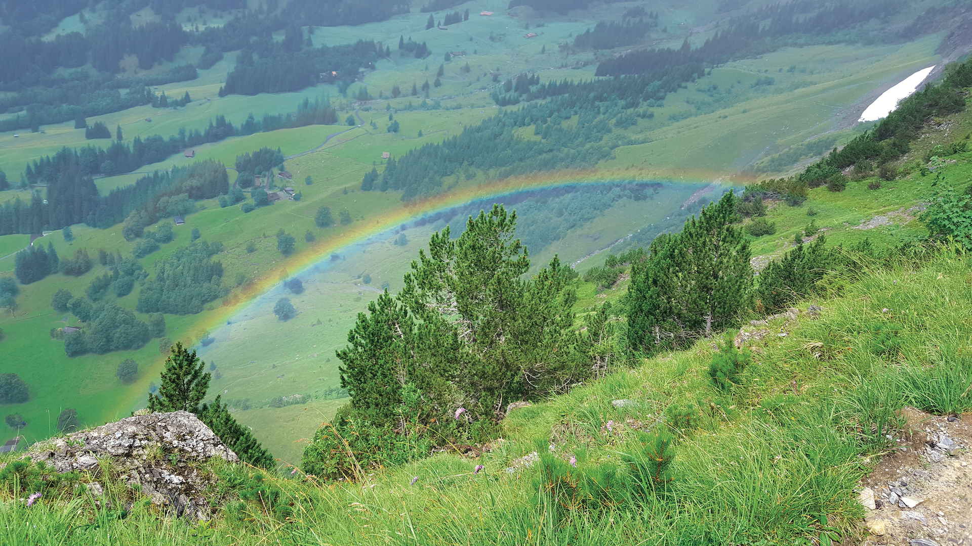 Terres Unsoeld'S Rainbow Photo, from her book Initiatique Trees