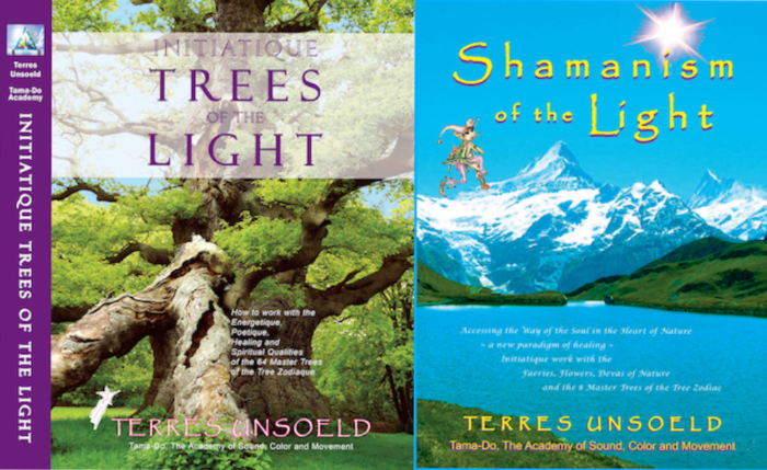 Initiate and Shamanism book covers